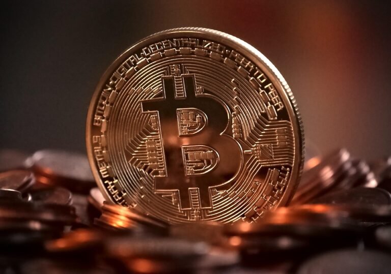 Business Robthecoins: To shape the future of digital funding